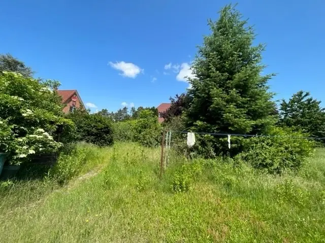 großer grüner Garten