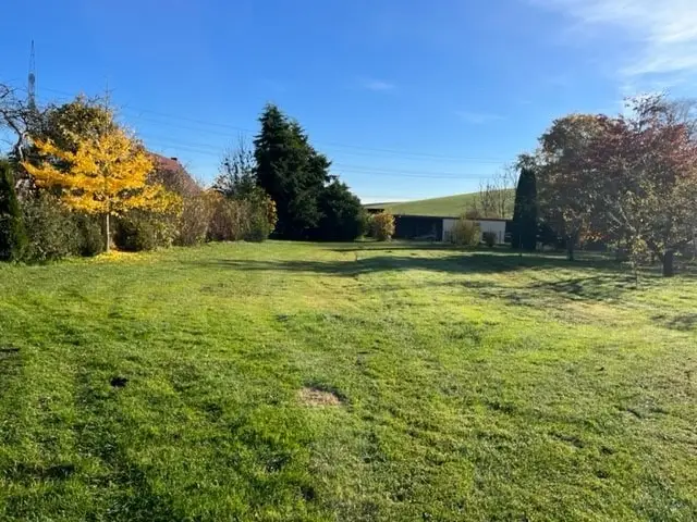 grünes Areal