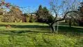 Obstgarten