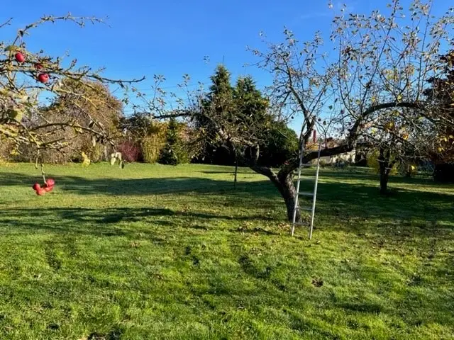 Obstgarten