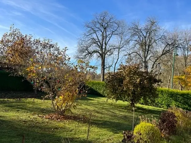Vorgarten