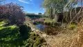 Zierfisch Teich