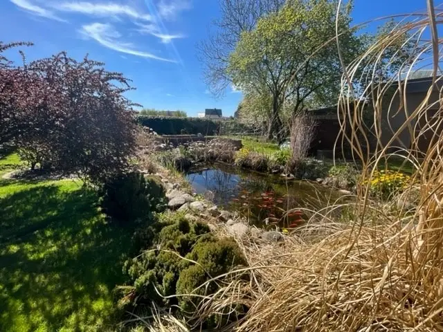 Zierfisch Teich
