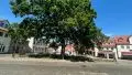 grünes Umfeld inmitten der Altstadt
