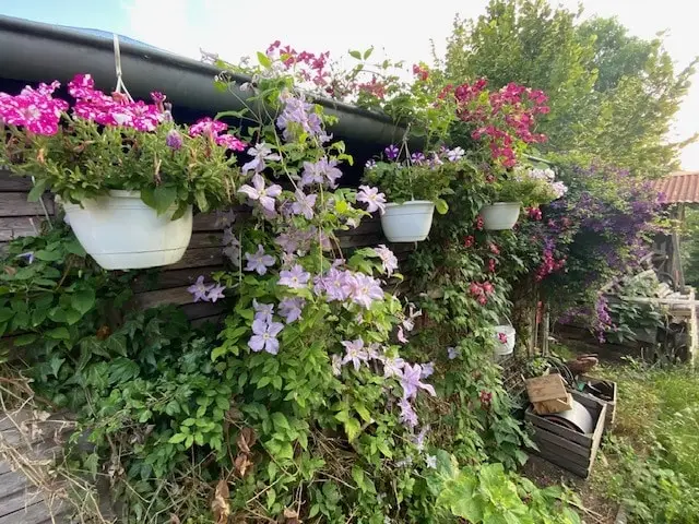 Nebengelasse zwischen Terrasse und Holzlager