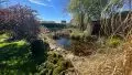 Zierfisch Teich