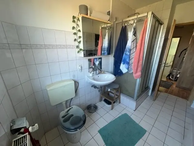 Tageslicht Vollbad Erdgeschoss