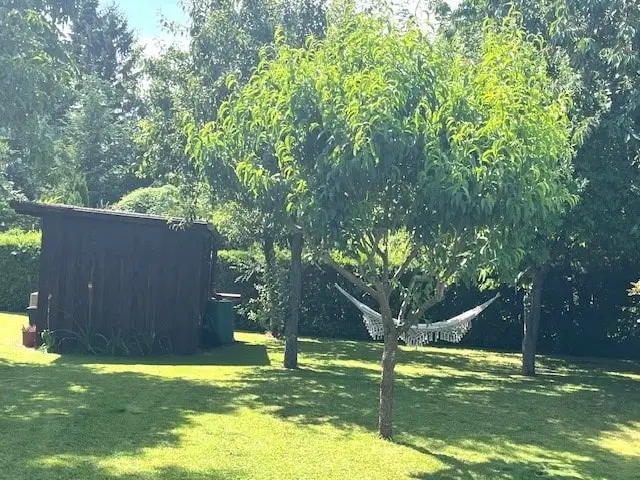 gepflegtes Grundstück