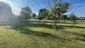 Streuobstgarten